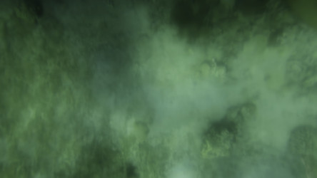 Similar image 22463333