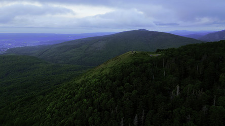 Similar image 22463469