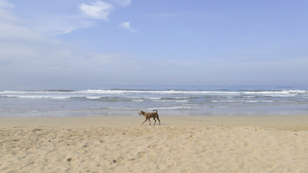 Similar image 22463528