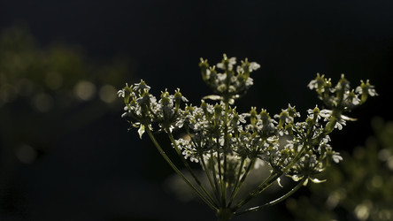 Similar image 22463977