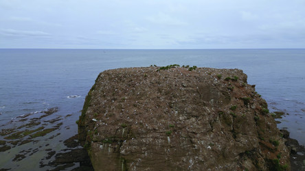 Similar image 22464040