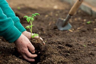 Similar image 22453745