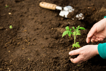 Similar image 22453748