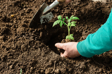 Similar image 22454297