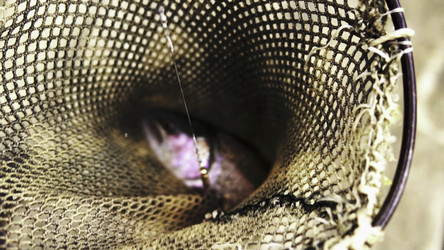 Similar image 22461912