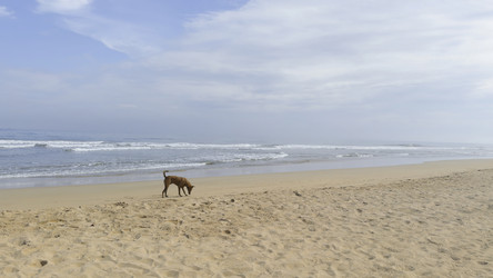 Similar image 22462766