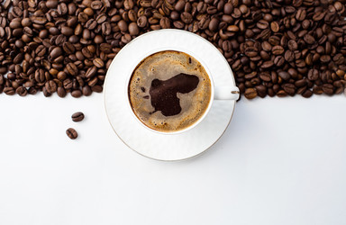 Similar image 22454552