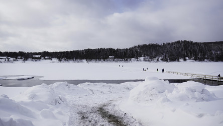 Similar image 22463200