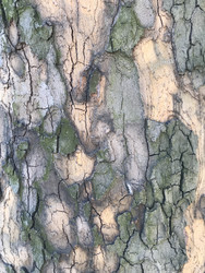 Similar image 22463320