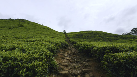 Similar image 22463709