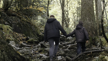 Similar image 22463722