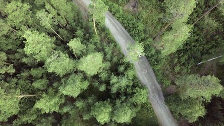 Similar image 22463782