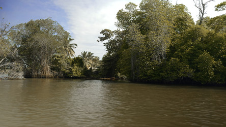 Similar image 22463996