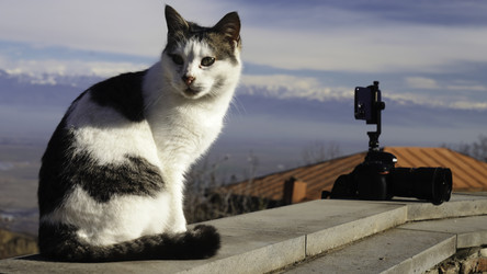 Similar image 22461701