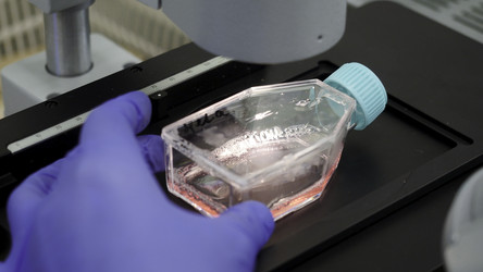 Similar image 22462824