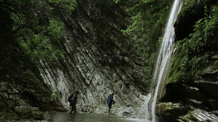 Similar image 22463963