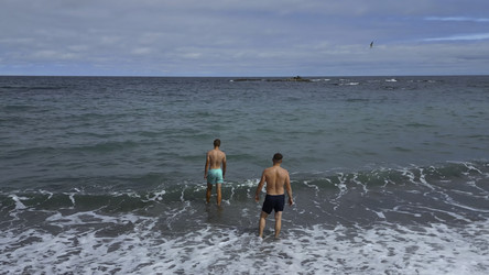 Similar image 22461432