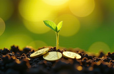 Similar image 22467786