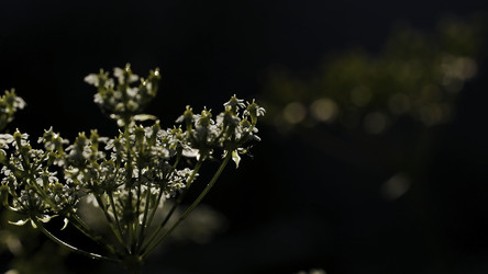 Similar image 22461624