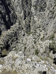 Similar image 22462016