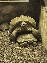 Similar image 22462285