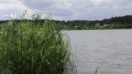 Similar image 22462556