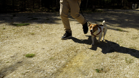 Similar image 22462723