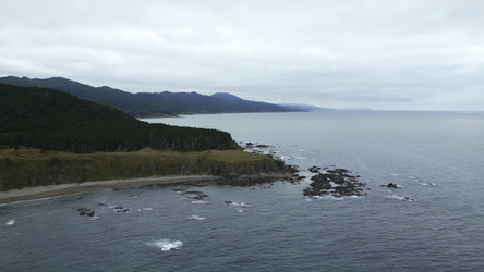 Similar image 22463004