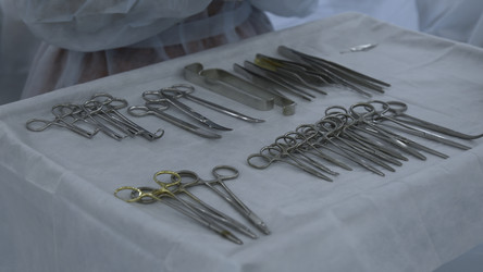 Similar image 22463289