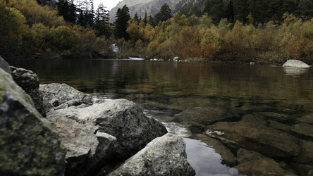 Similar image 22463664