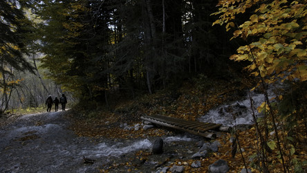 Similar image 22463861