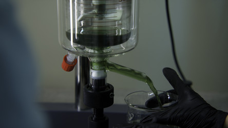 Similar image 22463918