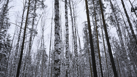 Similar image 22461567