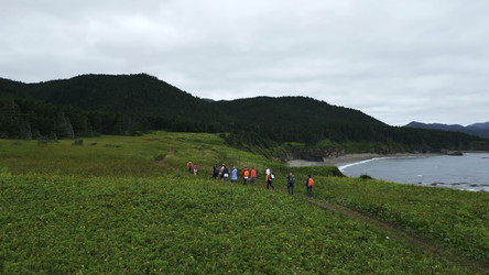 Similar image 22461580