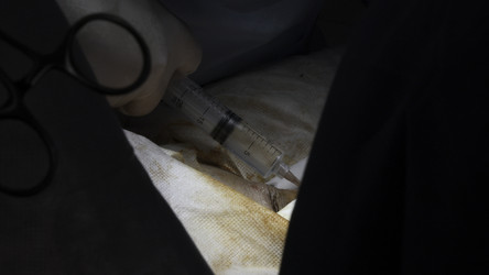 Similar image 22461865