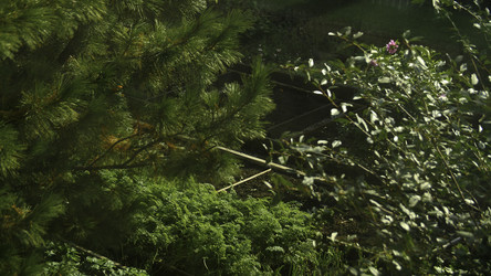 Similar image 22462033