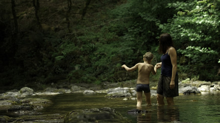 Similar image 22462602