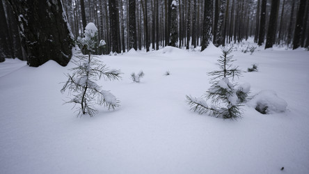 Similar image 22462945