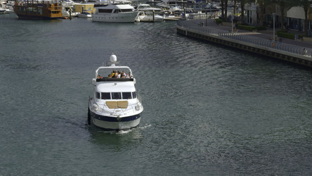 Similar image 22463172