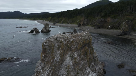 Similar image 22463275