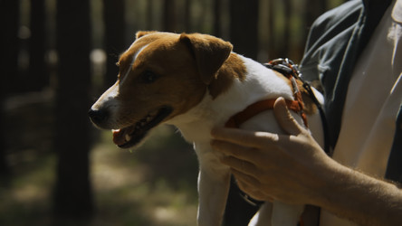 Similar image 22463919