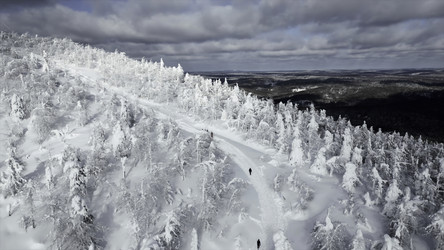 Similar image 22469854