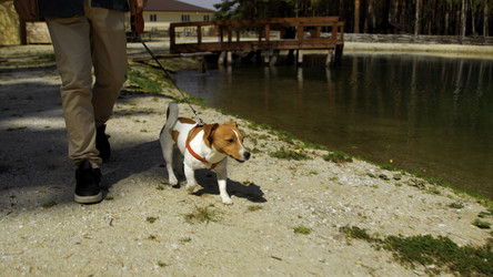 Similar image 22461581