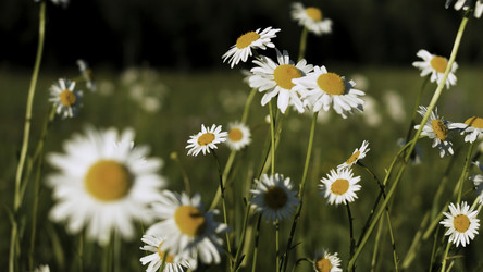 Similar image 22461746