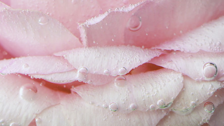 Similar image 22461852