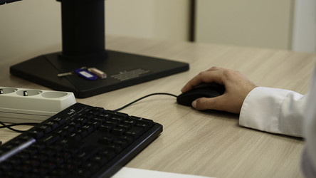 Similar image 22462018