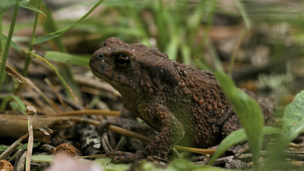 Similar image 22462034