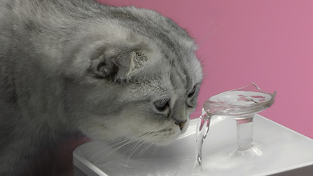 Similar image 22462974