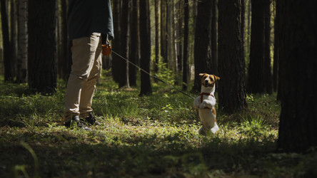 Similar image 22463259