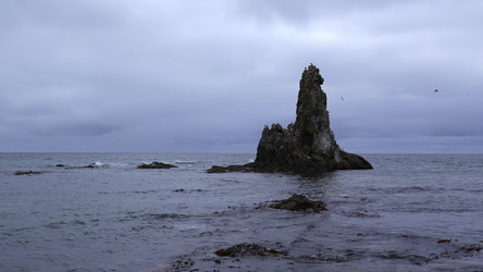 Similar image 22463666